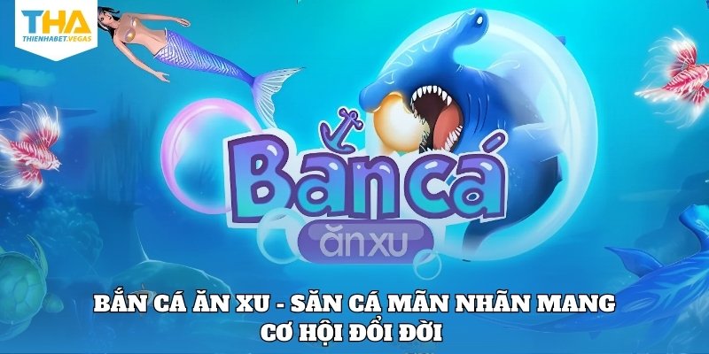 ban-ca-an-xu