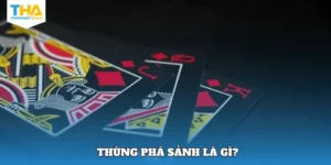 thung-pha-sanh-la-gi