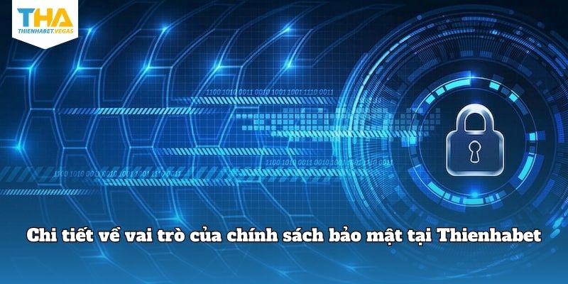 Chi tiết về vai trò của chính sách bảo mật tại Thienhabet